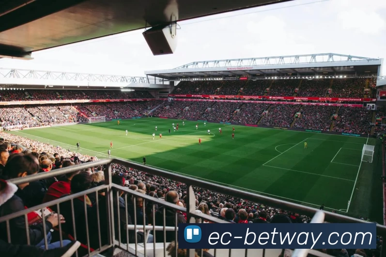 必威电竞官网品牌故事